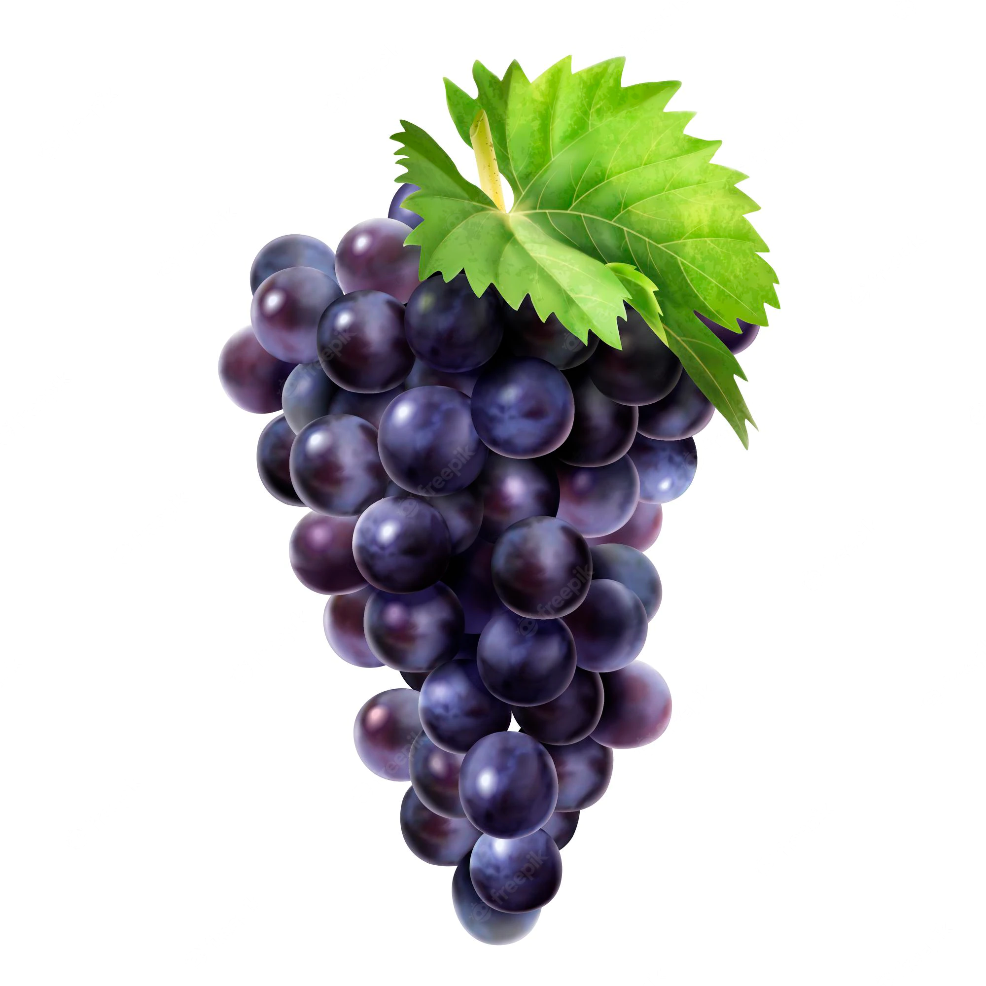 isolated-dark-grape-with-green-leaf_317810-1956
